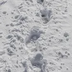 Im Weiler, 70 Qm * Winterlingen