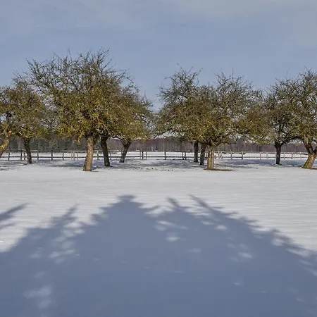 Im Weiler Winterlingen