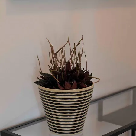 Appartement Im Weiler Winterlingen