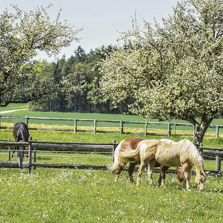 Lejlighed Im Weiler *